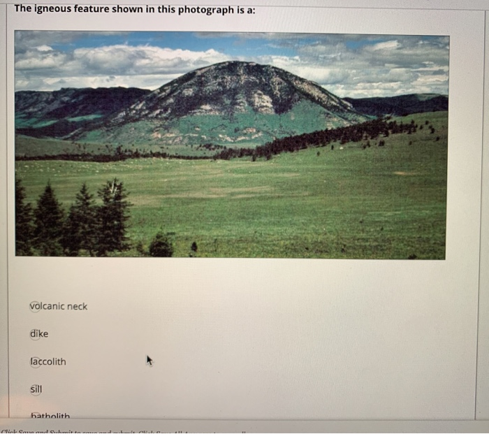 Solved What type of rock is shown in this photograph? | Chegg.com