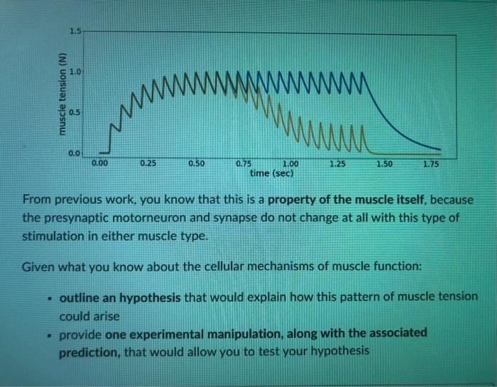Solved You have been asked to characterize muscle function | Chegg.com