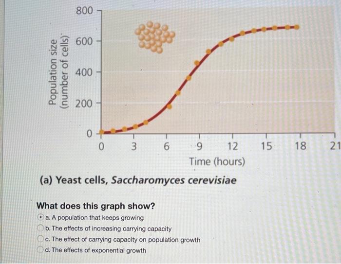 Solved 800 600 Population Size Number Of Cells 400 200 0 Chegg Com