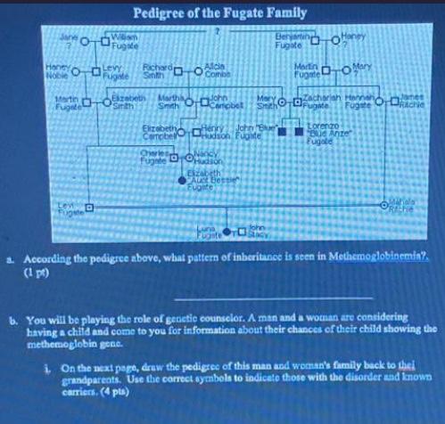 Solved MOTO Noble Fugate D Pedigree of the Fugate Family | Chegg.com