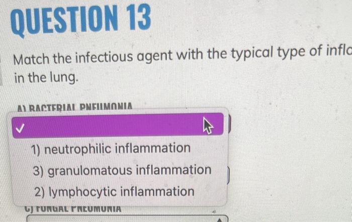 Solved Match The Infectious Agent With The Typical Type Of | Chegg.com