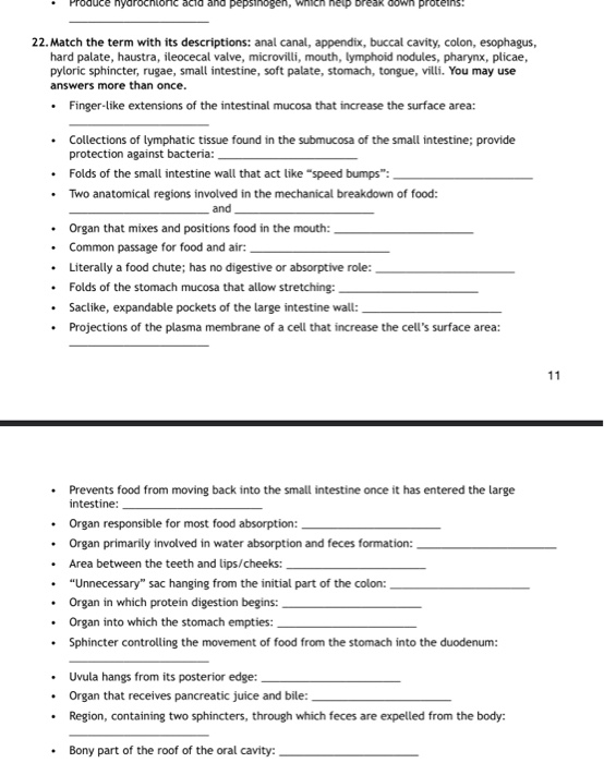 Solved • Produce hydrochloric acid and pepsinogen, which