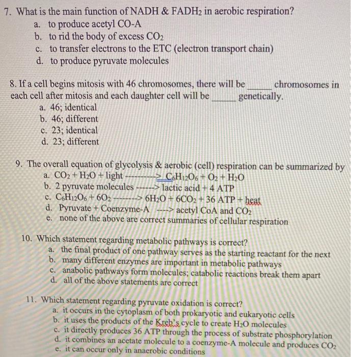 solved-7-what-is-the-main-function-of-nadh-fadh2-in-chegg