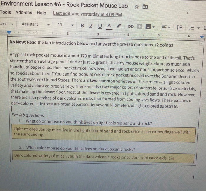 rock pocket mouse worksheet answers