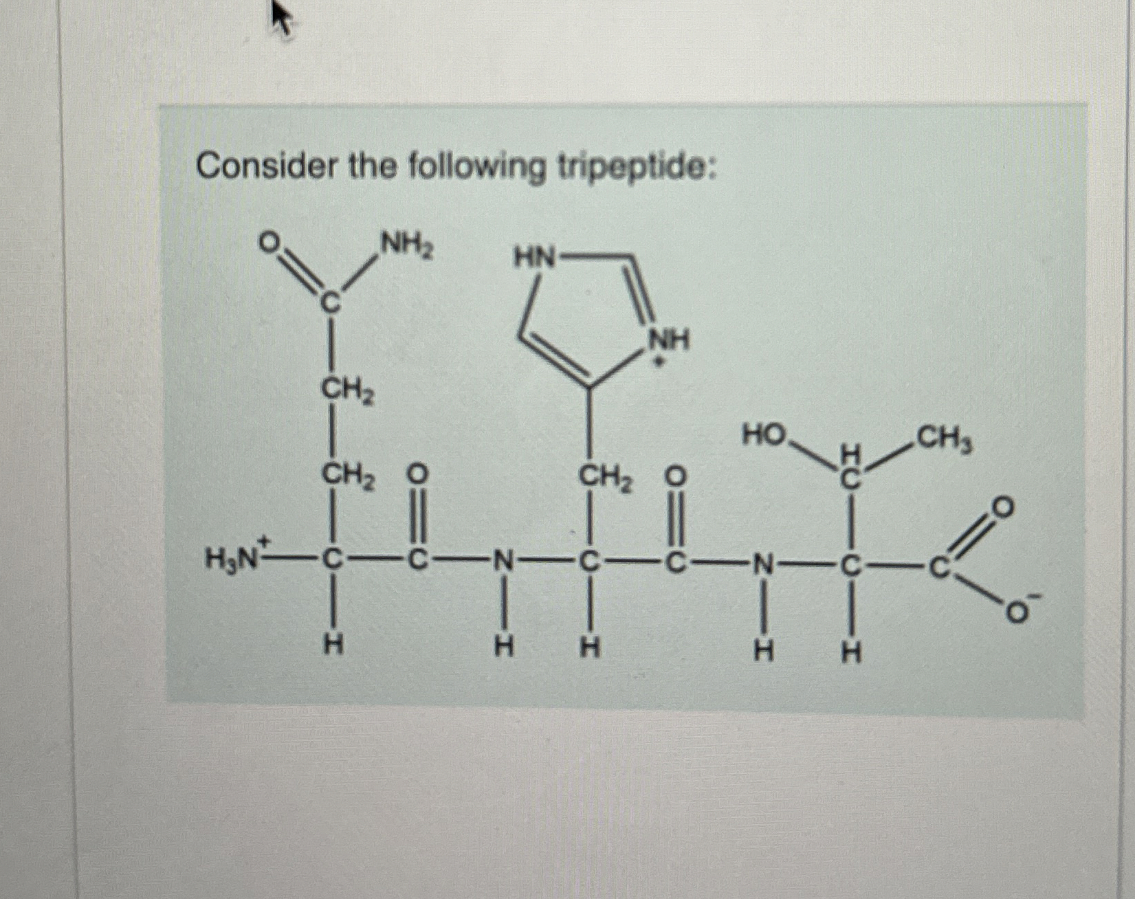 Solved Consider the following tripeptide: What is the amino | Chegg.com