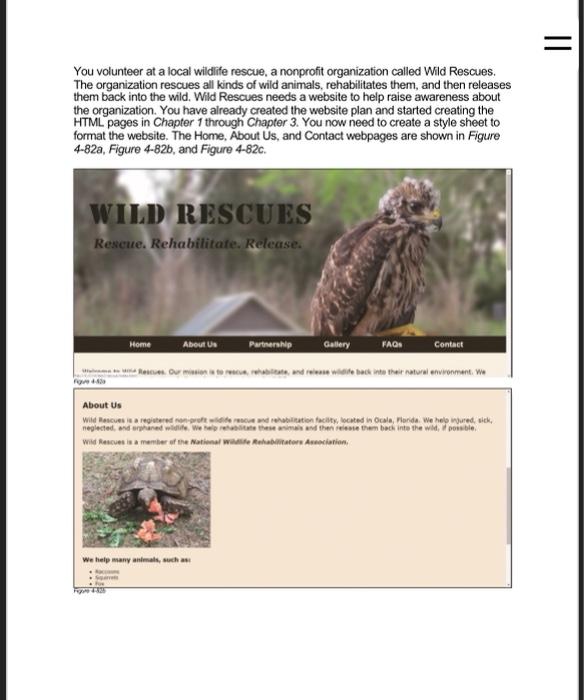 You volunteer at a local wildiffe rescue, a nonprofit | Chegg.com
