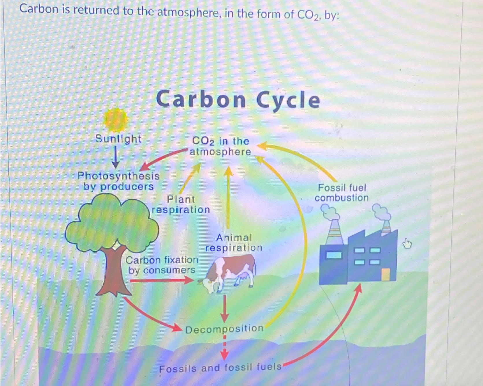 Solved Carbon is returned to the atmosphere, in the form of | Chegg.com