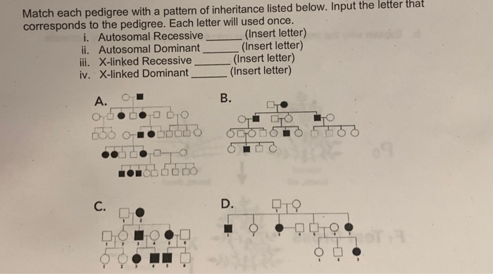 Solved Match each pedigree with a pattern of inheritance | Chegg.com