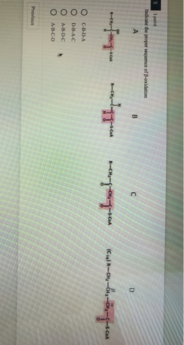 Solved 5 1 Point Indicate The Proper Sequence Of B-oxidation | Chegg.com