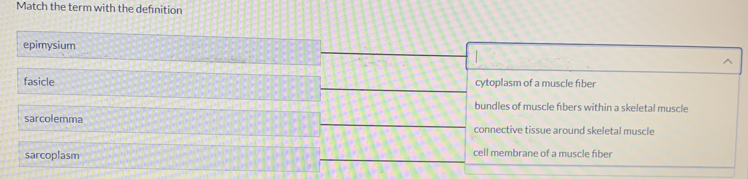 [Solved] Match the term with the definition epimysium fasic