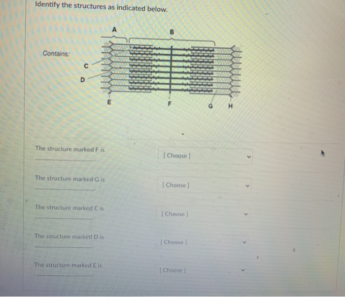 Solved Identify the structures as indicated below. B | Chegg.com
