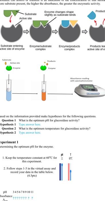 Enzyme Assays Sciencedirect