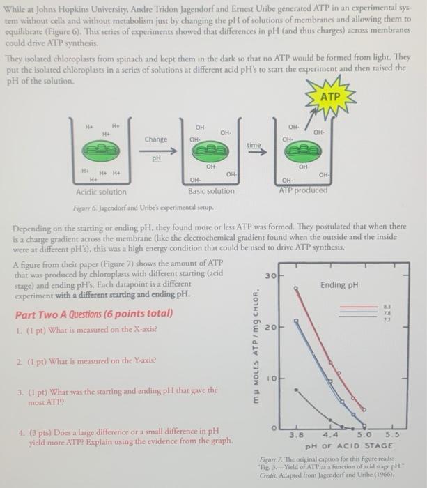 お得な情報満載 Solved While at Johns Hopkins University, Andre Tridon 洋書