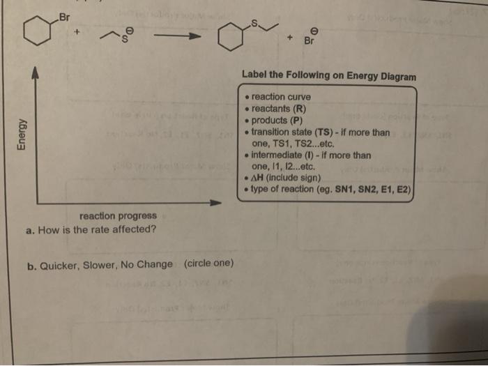 Solved Br + + Br Label the Following on Energy Diagram | Chegg.com