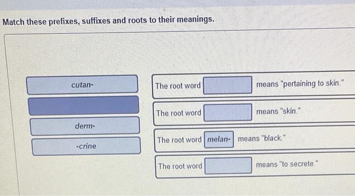 solved-match-these-prefixes-suffixes-and-roots-to-their-chegg