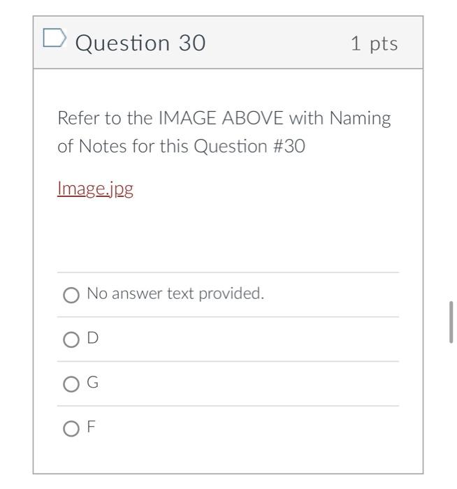 Questions 29 to 46 refer to the IMAGE Please view Chegg com