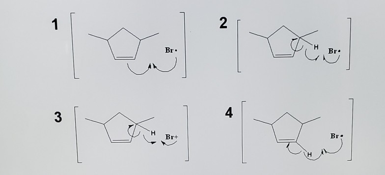 Solved from the following free radical rxn these products | Chegg.com