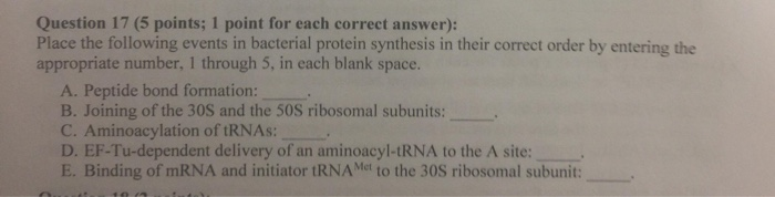 Solved Question 14 (2 points): Processing of a primary mRNA | Chegg.com