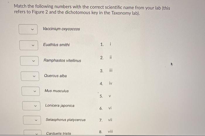 Solved Match the correct names to the taxonomic levels for | Chegg.com