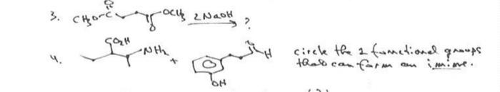 Solved 3. CH3OC∼fOCH,2NaOH ? 4. OHO2NH+NHH circle the 2 | Chegg.com