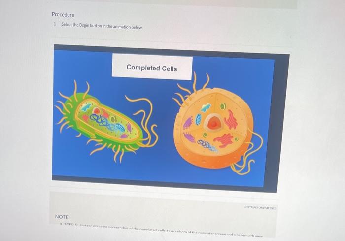 2 structures that all cells have in common