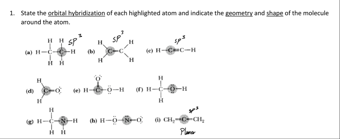 Solved State the orbital hybridization of each highlighted | Chegg.com