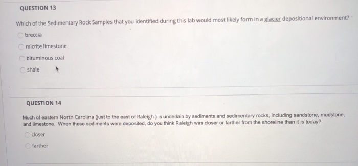 Solved QUESTION 7 Which of the Sedimentary Rock Samples that | Chegg.com