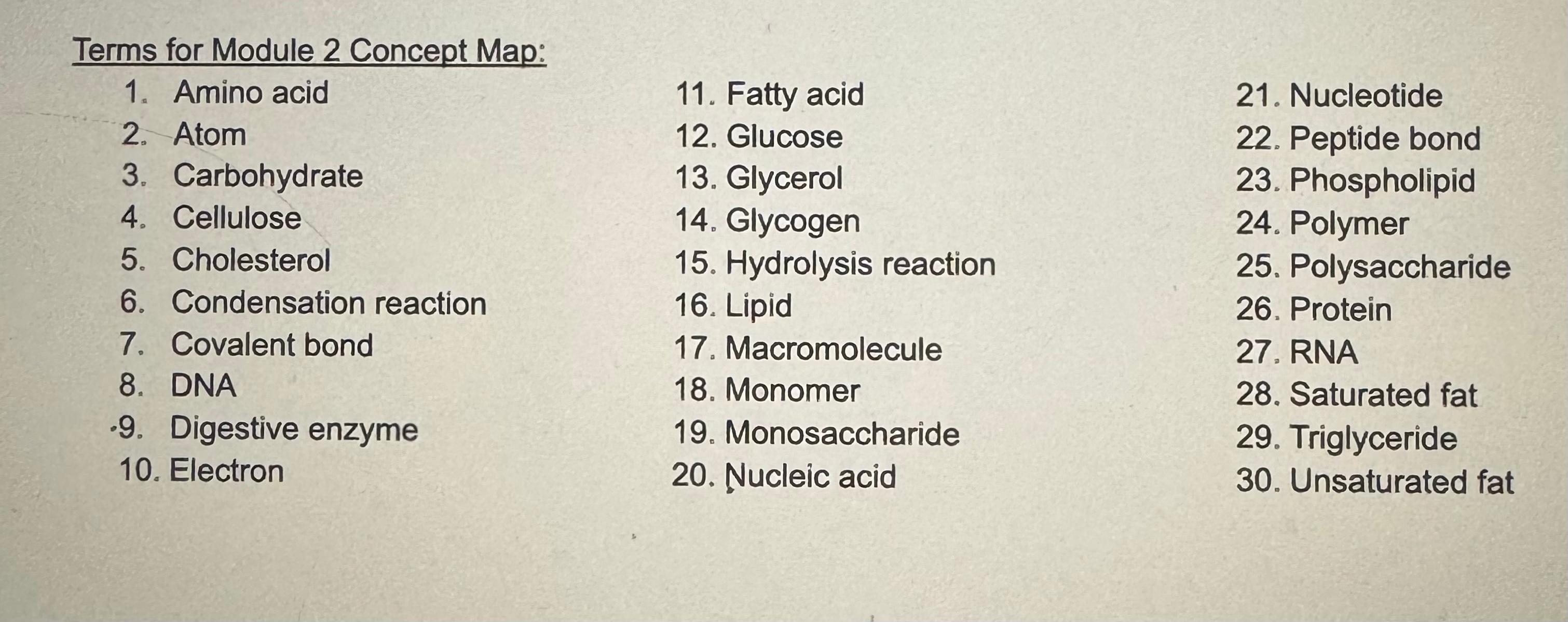 Solved Terms for Module 2 ﻿Concept Map:Amino | Chegg.com