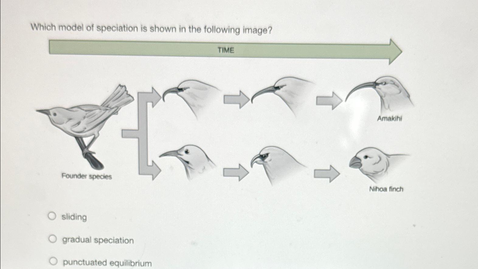 Solved Which model of speciation is shown in the following | Chegg.com
