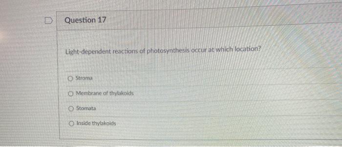 Question 17 Light-dependent reactions of photosynthesis occur at which location? Stroma Membrane of thylakoids Stomata Inside
