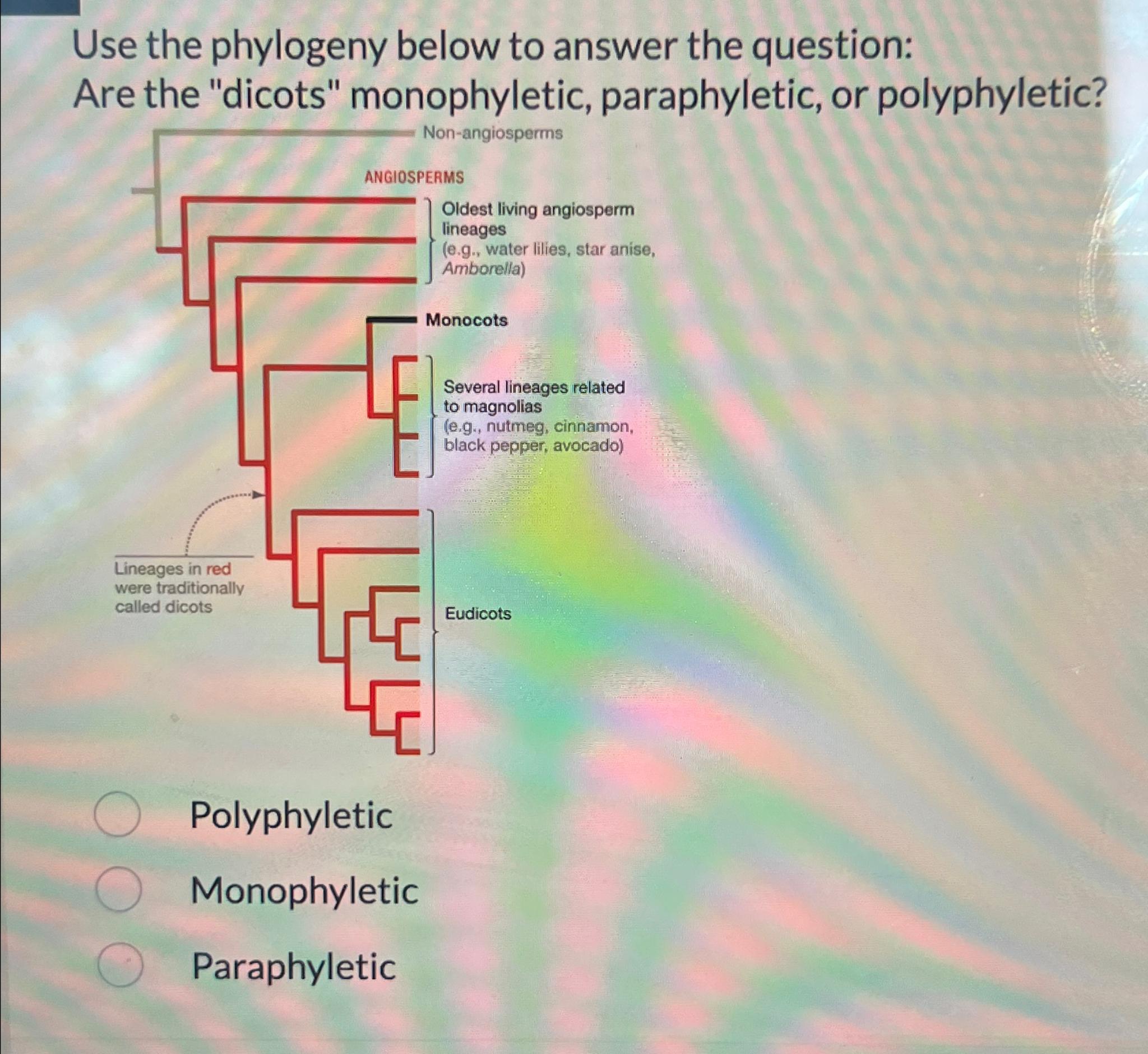 Solved Use the phylogeny below to answer the questionAre