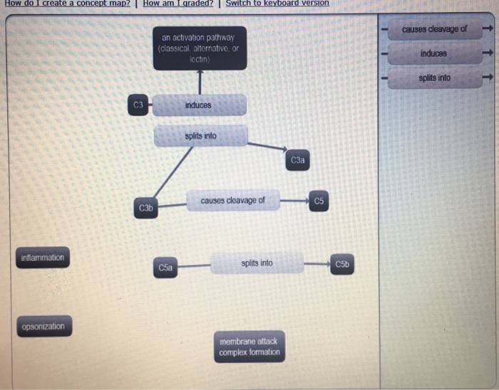 Solved How do I create a concept map? How am I graded? | Chegg.com