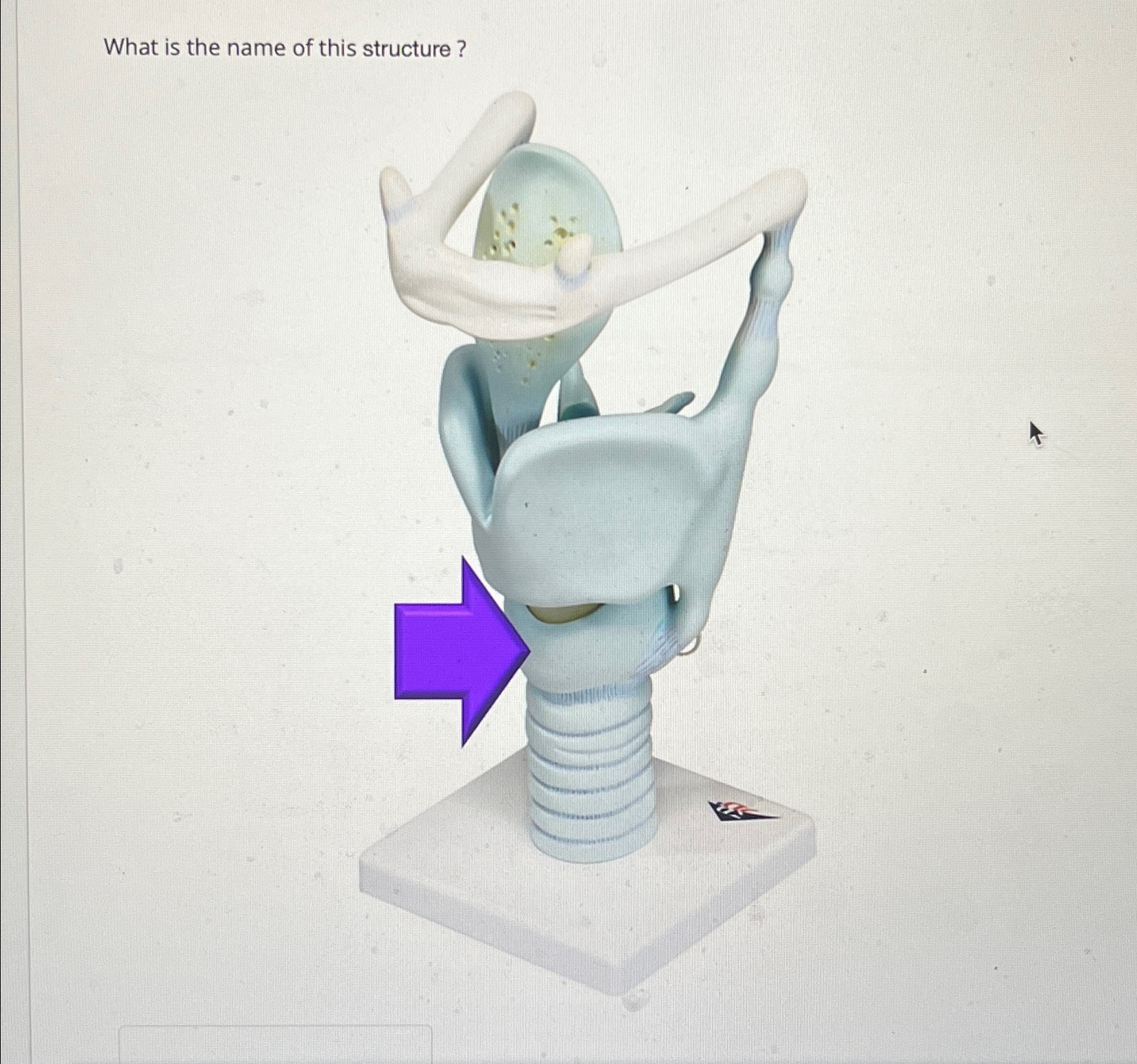 Solved What is the name of this structure? | Chegg.com