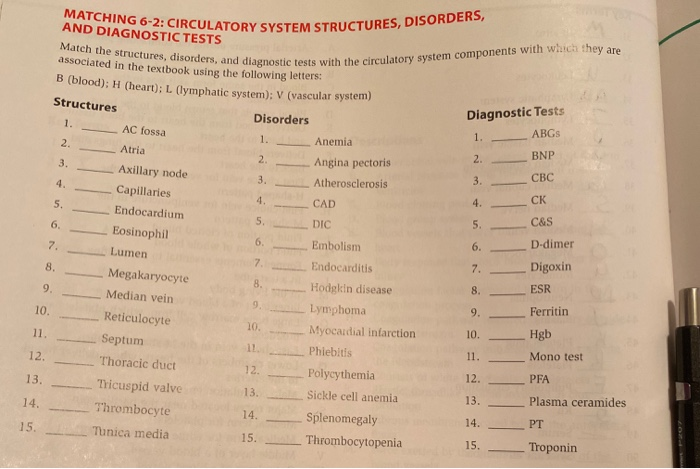 case study 6 1 circulatory system disorders and diagnostic tests