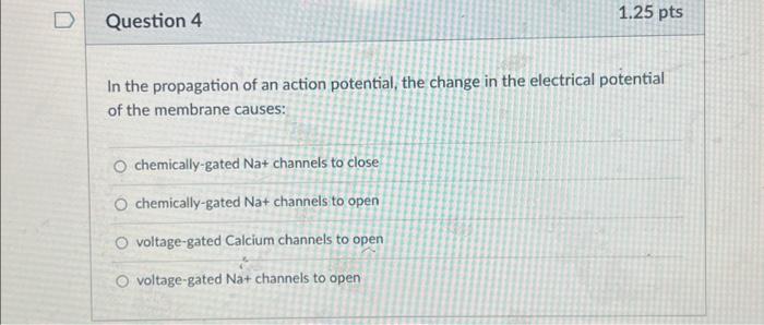 Solved Question 4 In the propagation of an action potential, | Chegg.com