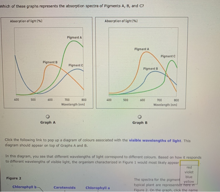 solved-2-how-absorption-and-action-spectra-are-related-ada-chegg