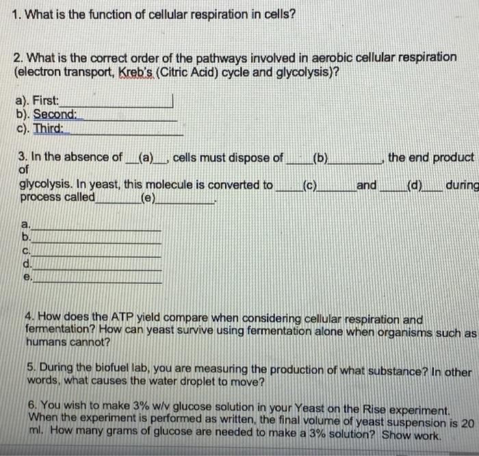 Solved 1. What is the function of cellular respiration in | Chegg.com