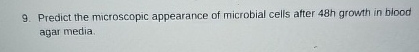 Solved Predict the microscopic appearance of microbial cells | Chegg.com
