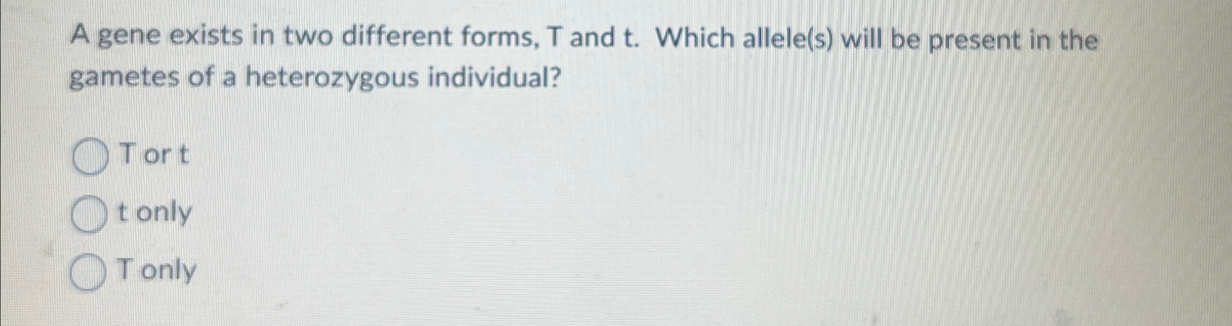 Solved A gene exists in two different forms, T ﻿and t. | Chegg.com