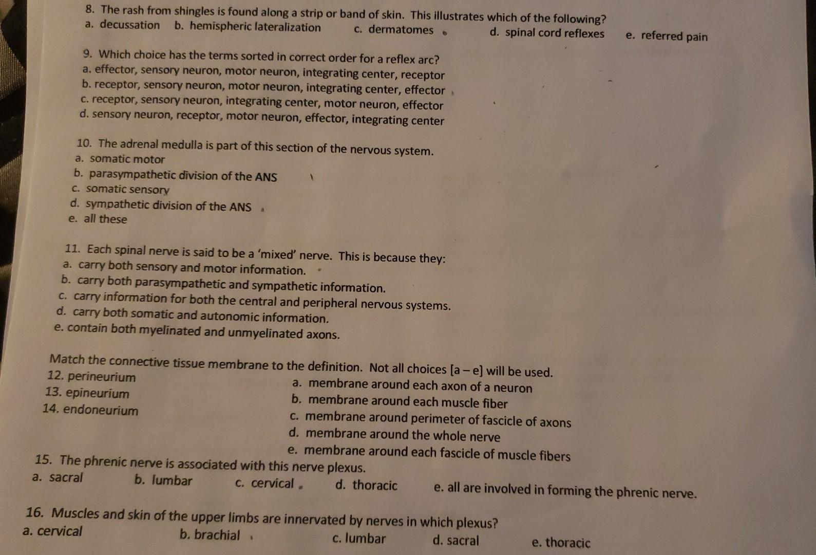 Solved 27. Motor output from this part of the nervous system | Chegg.com