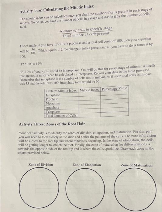 Activity Two Calculating the Mitotic Index The Biology Diagrams