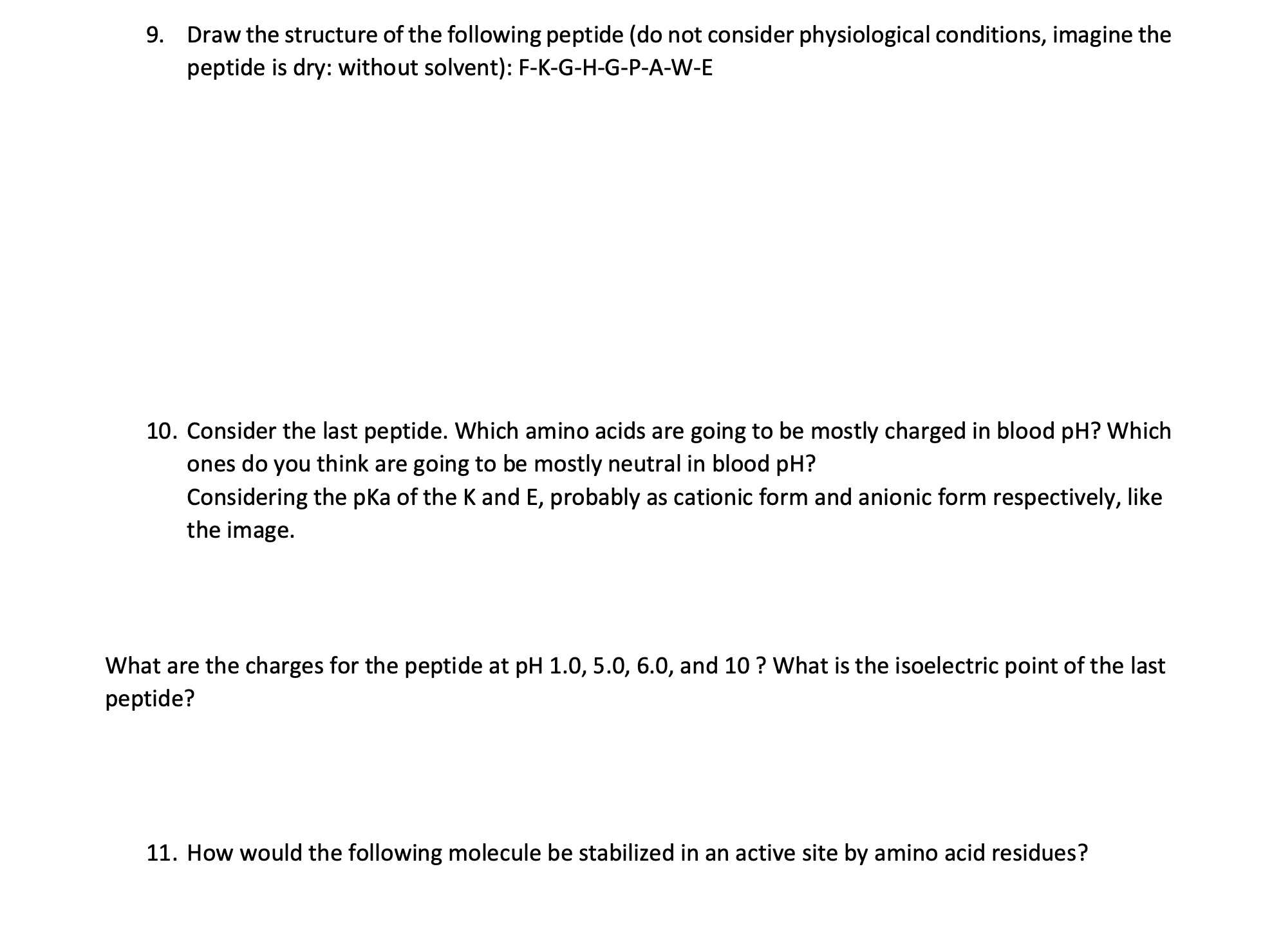 Solved Draw the structure of the following peptide (do not | Chegg.com