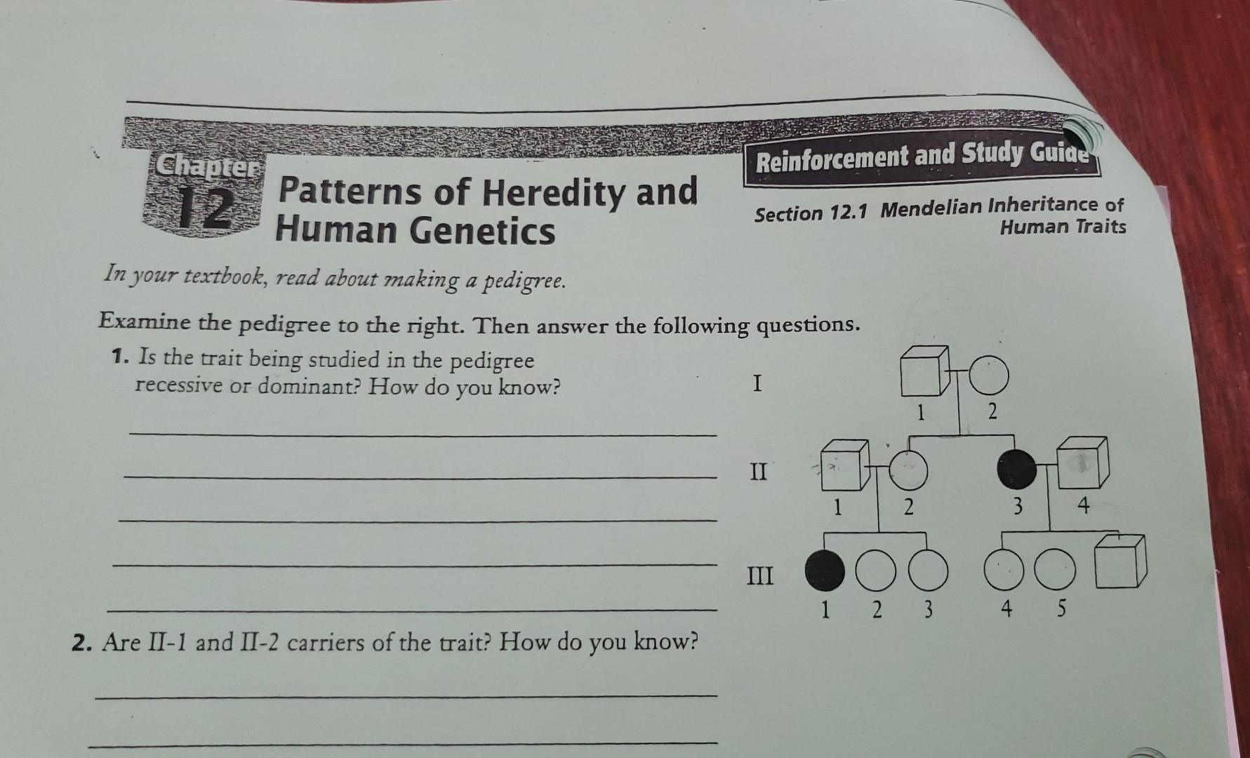 Solved Chapter 12 Reinforcement And Study Guide Patterns Of Chegg