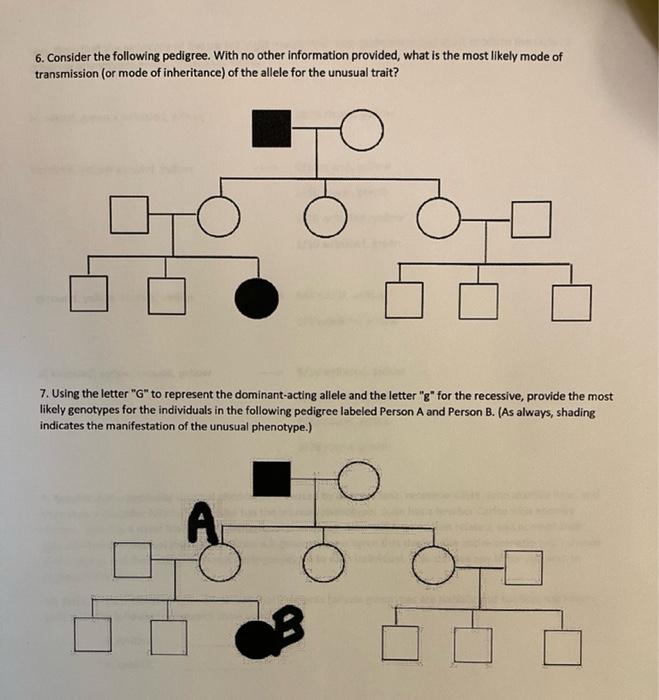 Solved 6. Consider The Following Pedigree. With No Other | Chegg.com