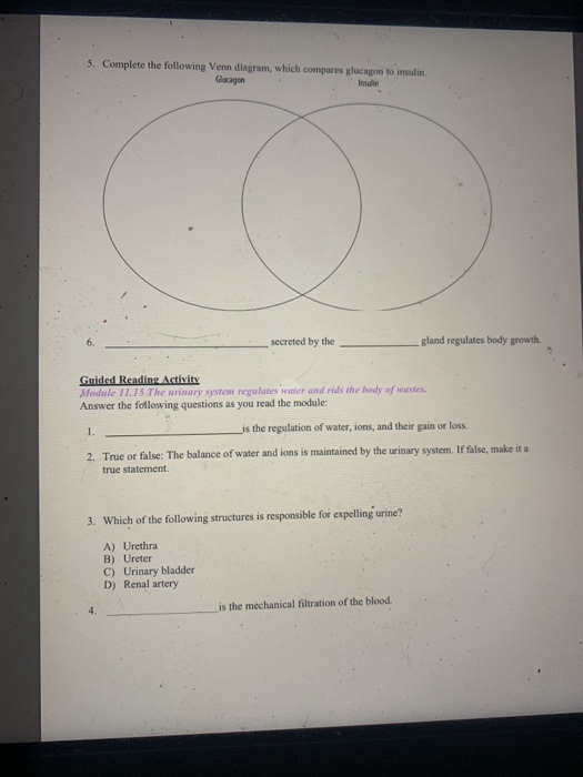 6 A Person Accidentally Ingests A Drug That Prevents Chegg Com