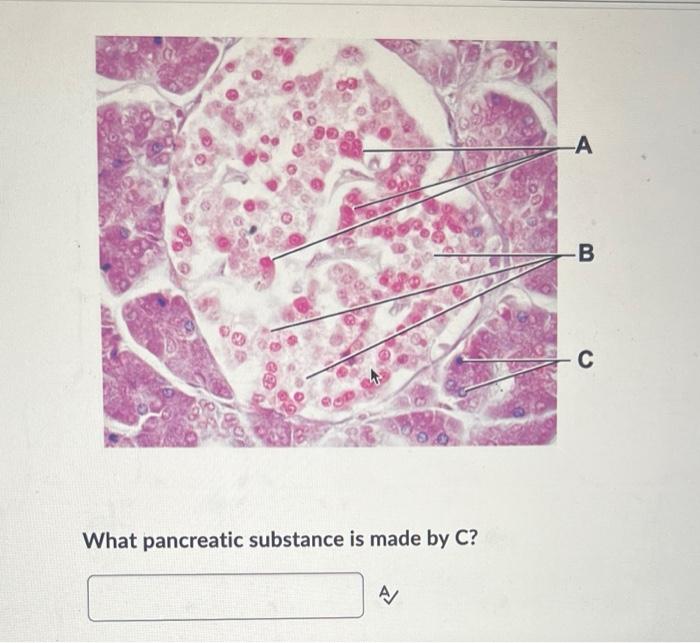 Solved what pancreatic substance is made by C ( collid | Chegg.com