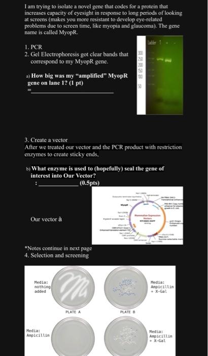 Solved I am trying to isolate a novel gene that codes for a | Chegg.com