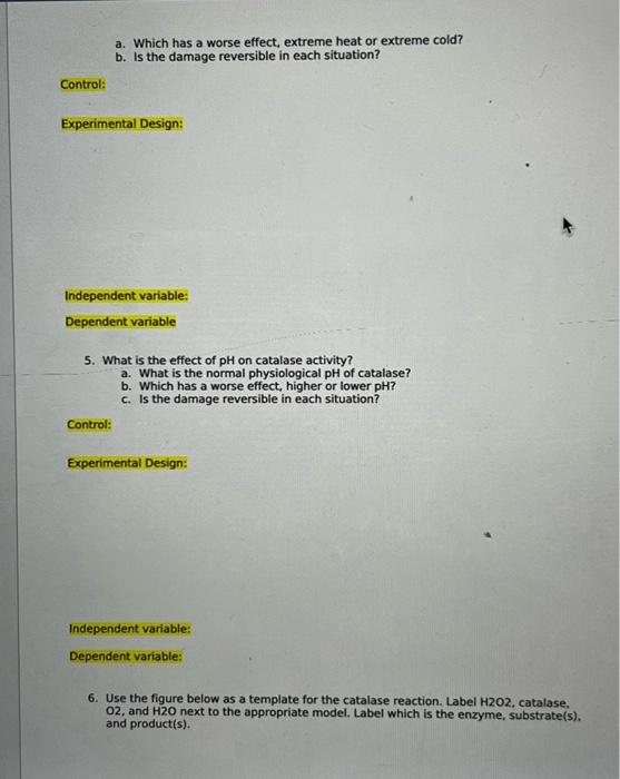 catalase experiment data answers