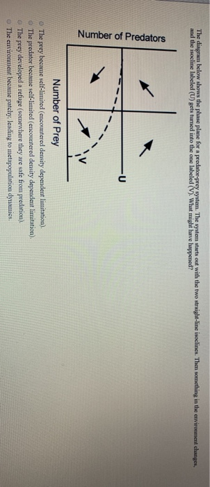 Solved The diagram below shows the phase plane for a | Chegg.com