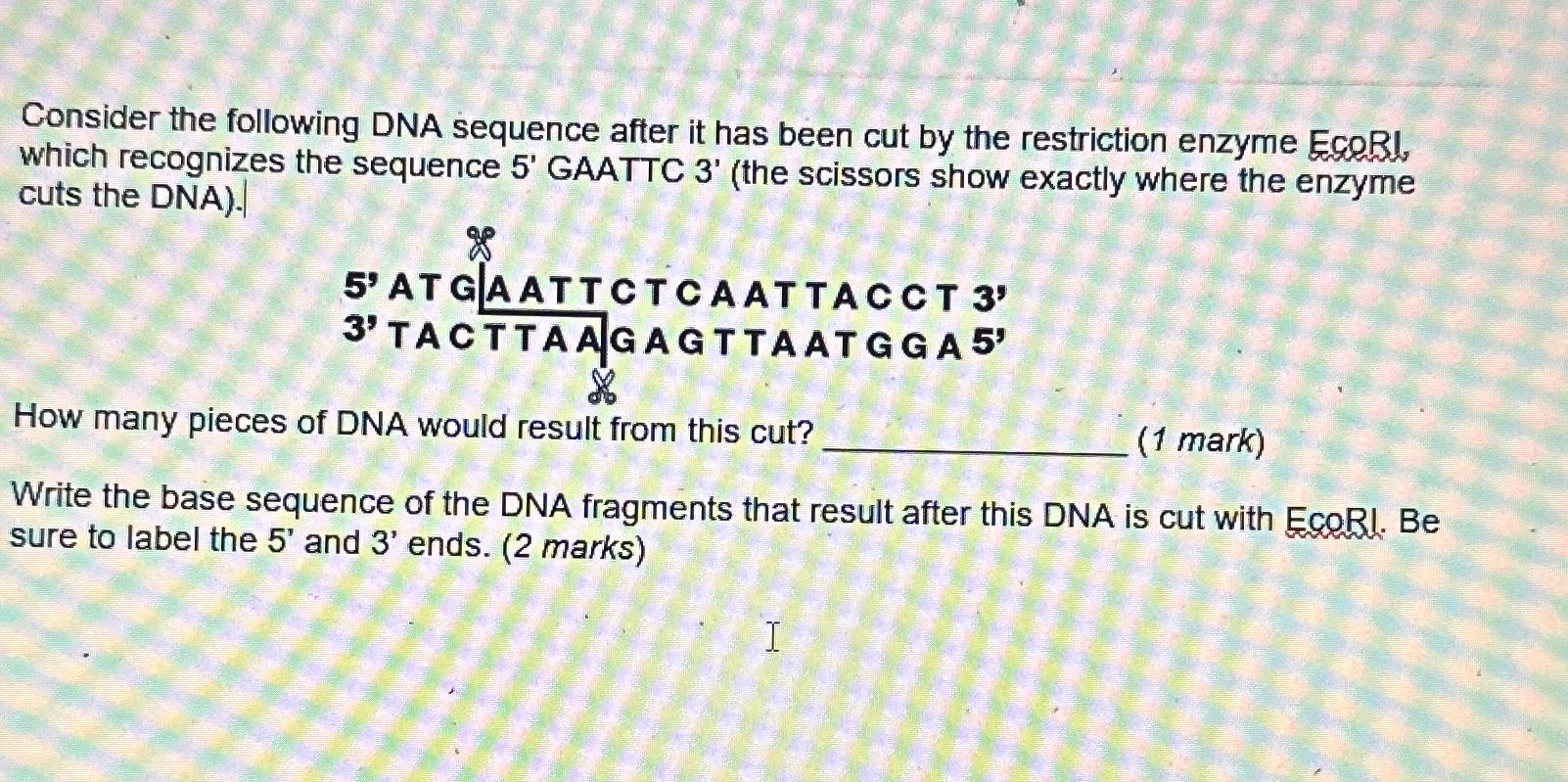 Solved Consider the following DNA sequence after it has been | Chegg.com